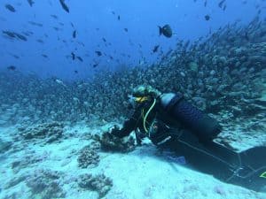 why learn To scuba Dive Station Pattaya Diving in Pattaya