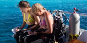 Padi Dive Log book