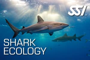 SSI Shark Ecology