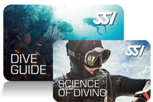 Dive Station Pattaya is the premier option to start your career as SSI Dive Professional