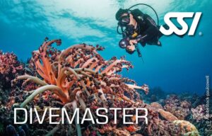 SSI Diving In Pattaya Thailand