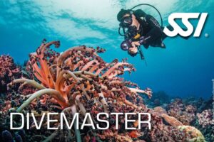 SSI Divemaster