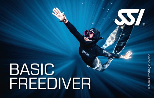 SSI Basic Freediver
