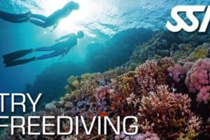 SSI Try Freediving