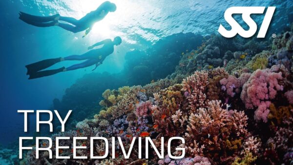 SSI Try Freediving